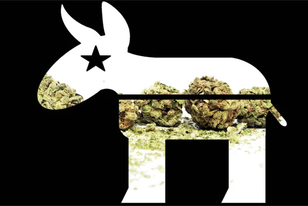 Marijuana politik, Cannabis knoppar, republikanska åsna — Stockfoto