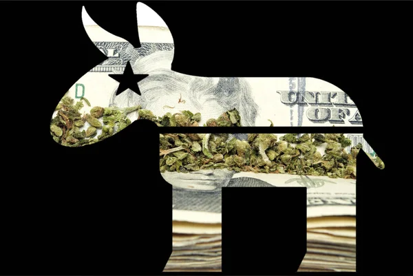 マリファナ政治、大麻の芽、共和党のロバ — ストック写真
