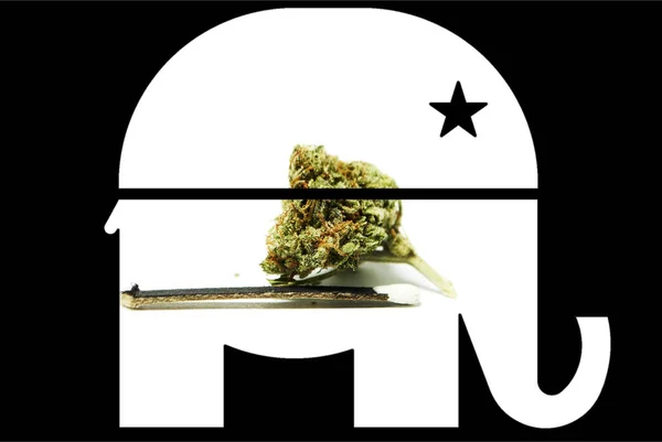 Polityka marihuany, konopi pąki, Republikanów demokratycznych symboli — Zdjęcie stockowe