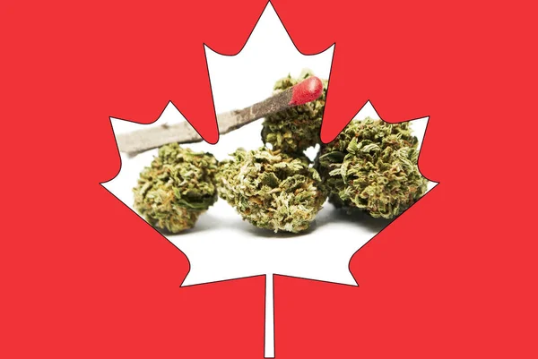 Марихуана и конопля в Канаде; Канадский наркобизнес — стоковое фото