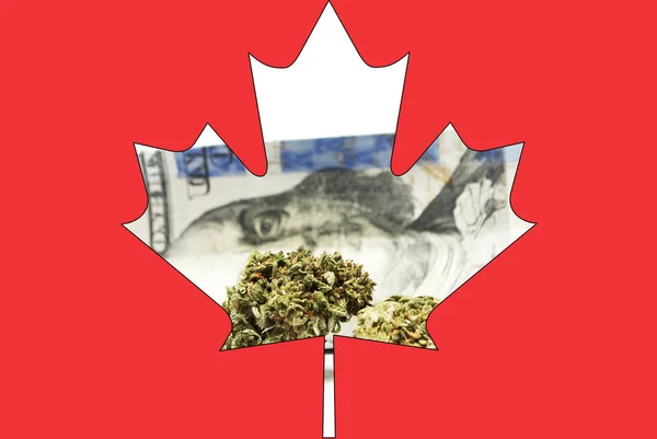 Marihuana y cannabis en Canadá; negocio canadiense de drogas —  Fotos de Stock
