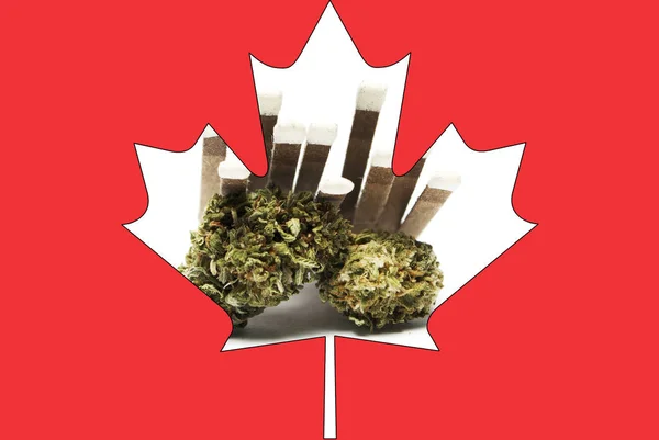 Maconha e cannabis no Canadá; negócio canadiano de drogas — Fotografia de Stock