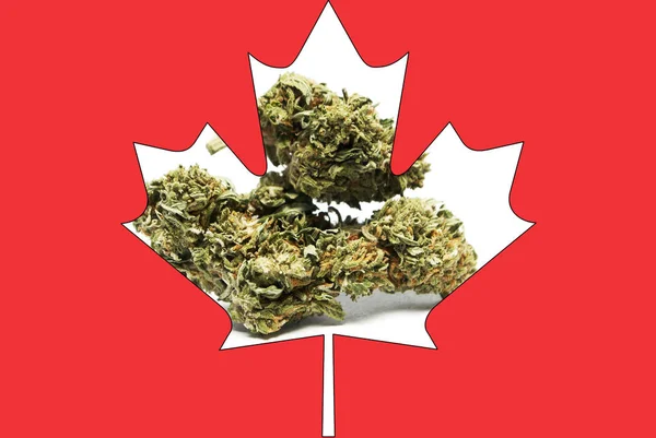 Marihuana und Cannabis in Kanada; kanadisches Drogengeschäft — Stockfoto