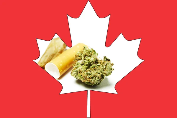 Maconha e cannabis no Canadá; negócio canadiano de drogas — Fotografia de Stock