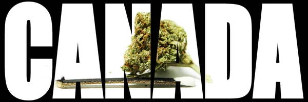 Marihuana y cannabis en Canadá; negocio canadiense de drogas —  Fotos de Stock