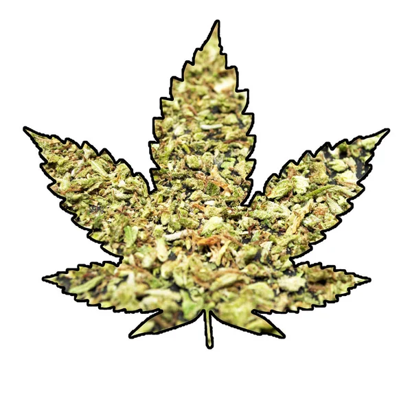 Marihuana und Cannabisblätter — Stockfoto