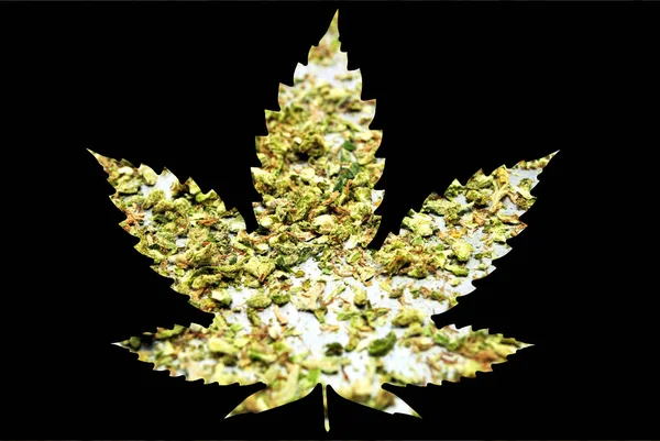 Marijuana and Cannabis Leaf Icon — Stock Photo, Image