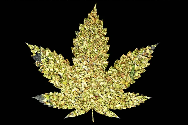 Икона листьев марихуаны и конопли — стоковое фото