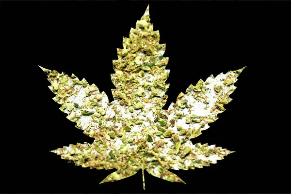 Ikona liść konopi i marihuany — Zdjęcie stockowe
