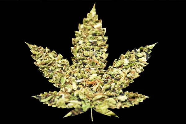 Icona con foglie di marijuana e cannabis — Foto Stock