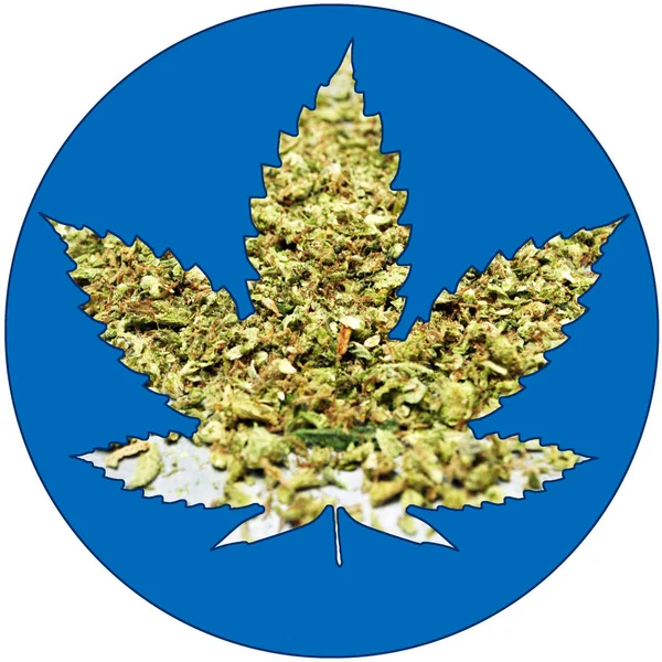 Pot Leaf ikon, Marijuana och Cannabis — Stockfoto