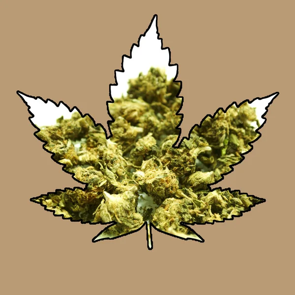 Pot Leaf Icon, Marijuana and Cannabis — Stock Photo, Image