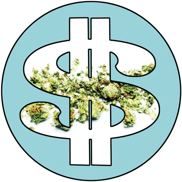 Marihuana Weed Pot i konopi pieniądze — Zdjęcie stockowe