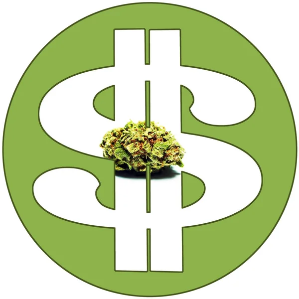 Maconha Pot Weed e Cannabis Money — Fotografia de Stock