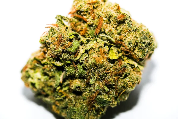 Marijuana Cannabis Bud Fermer — Photo