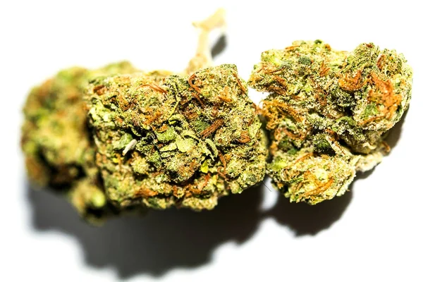 Marihuána Kannabisz Bud Közelről — Stock Fotó