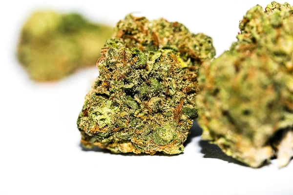 Marijuana Cannabis Bud Close — Stock Photo, Image