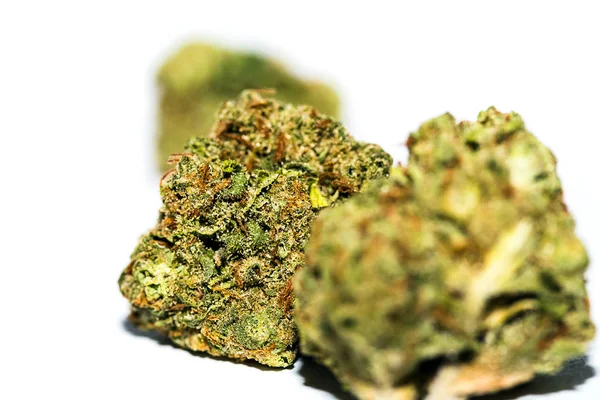 Marijuana Cannabis Bud Close — Stock Photo, Image