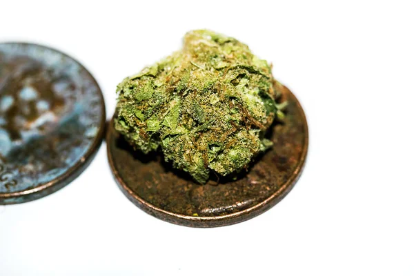 Marihuana Knospe Aus Nächster Nähe — Stockfoto