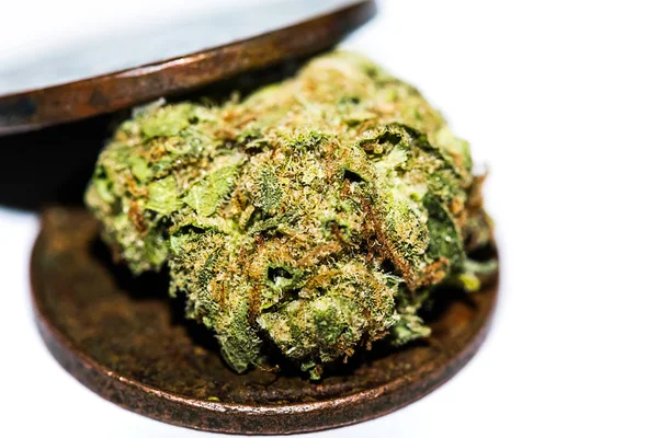 Marihuána Kannabisz Bud Közelről — Stock Fotó