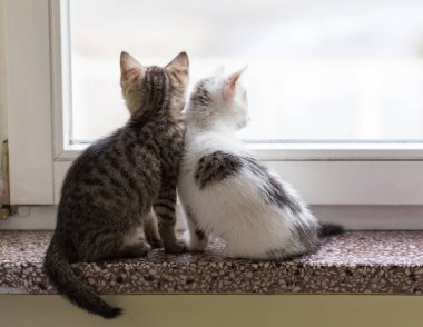 Prag 'daki eski şehir sokağı, Czech Cumhuriyeti