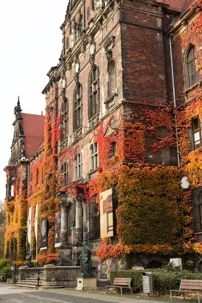 Şehrin parkında sonbahar yapraklı eski bir bina.