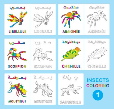 Böceklerin Çizgi Film Çizim Kitabı Etkinliği