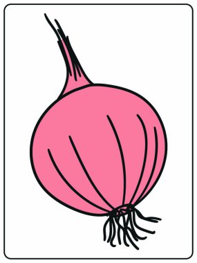 Soğan vektör çizimi - vektör sebze