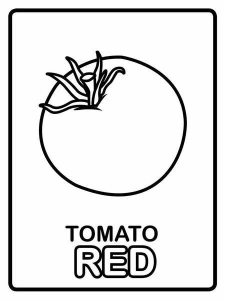 Ilustración Vectorial Del Tomate Verdura Vectorial Tomate Colorante — Vector de stock