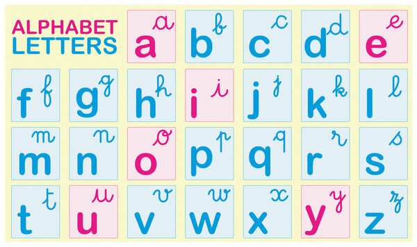 Alphabet consonants and vowels letters, script letters vector image