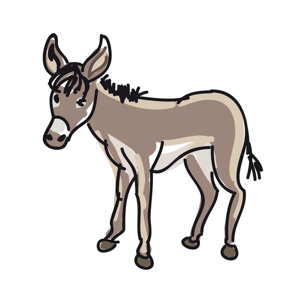 Donkey Mule Isolated White Background Vector Illustration – stockvektor