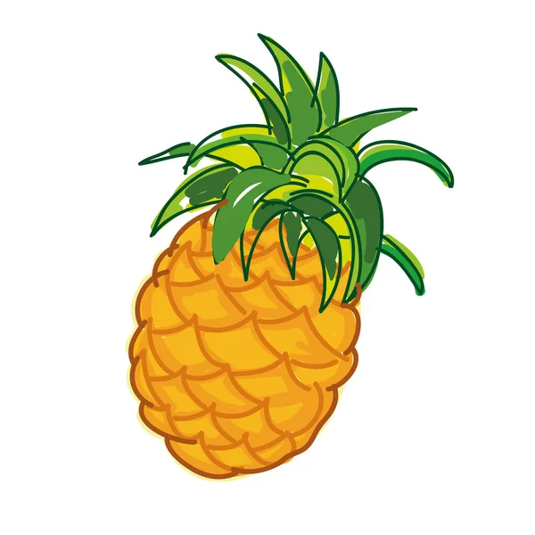 Piña Aislada Ilustración Vectorial Fondo Blanco — Vector de stock