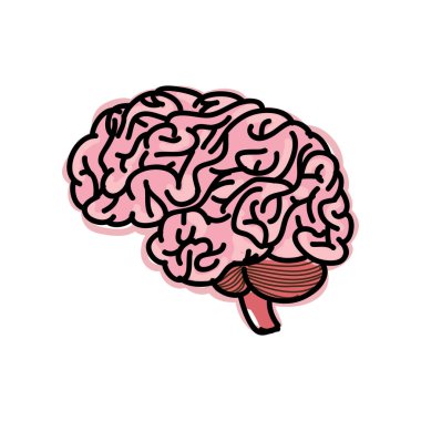 Beyaz arkaplan vektör resimlemesinde beyin izole edildi