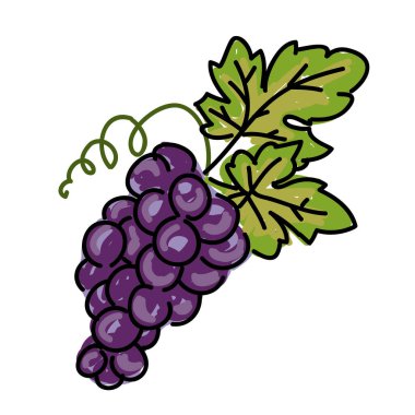 Üzüm beyaz arkaplan vektör illüstrasyonunda izole