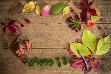 Ağaçların farklı yaprakları ile sonbahar çerçeve 