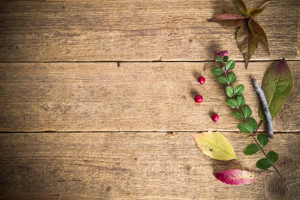 Yaprakları ve kırmızı meyveler ile ahşap arka plan — Stok fotoğraf