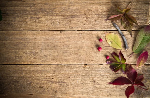 Sonbahar yaprakları ile ahşap arka plan 