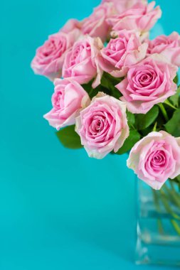 mavi bir arka plan gül 