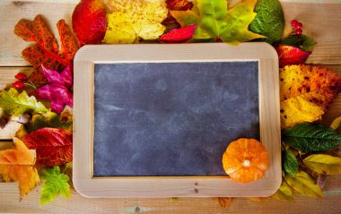 sonbahar yaprakları ve kabak tablo ile yazı tahtası 
