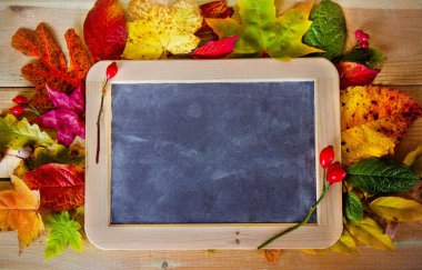 sonbahar yaprakları ve meyveleri tablo ile yazı tahtası 