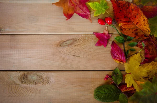 Herbstblätter auf Holzgrund — Stockfoto