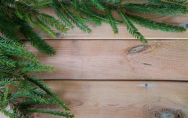 Rama de abeto sobre fondo de madera —  Fotos de Stock