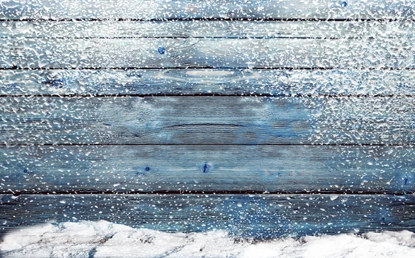 雪と冬青背景 — ストック写真