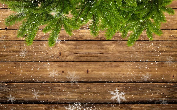 Quadro de ramos de abeto e flocos de neve — Fotografia de Stock