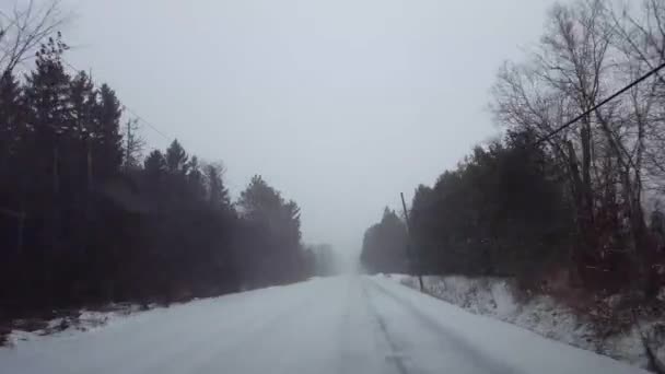 Проезд Лесной Дороге Вечнозеленого Леса Время Зимнего Снежного Шторма День — стоковое видео