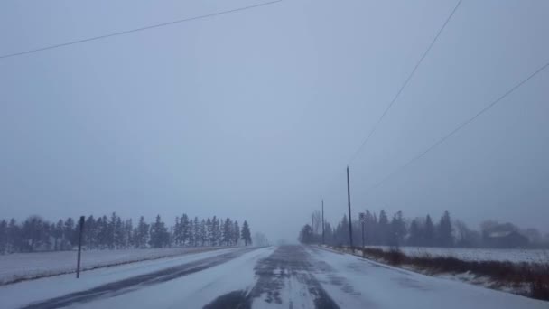 Winter Sneeuwstorm Rijden Rural Road Dag Bestuurderspunt Pov Sneeuwstorm Countryside — Stockvideo