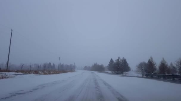 Conduzindo Tempestade Neve Inverno Estrada Rural Dia Ponto Vista Motorista — Vídeo de Stock