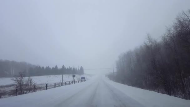 Brighter Version Rijden Whiteout Snow Weather Dangerous Road Conditions Winter — Stockvideo