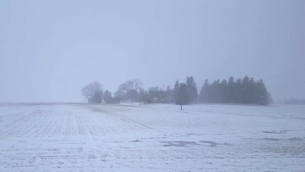 white out blizzard white out blizzard