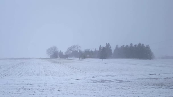 White Out Tempête Neige Blizzard Travers Campagne Ferme Paysage Neige — Video